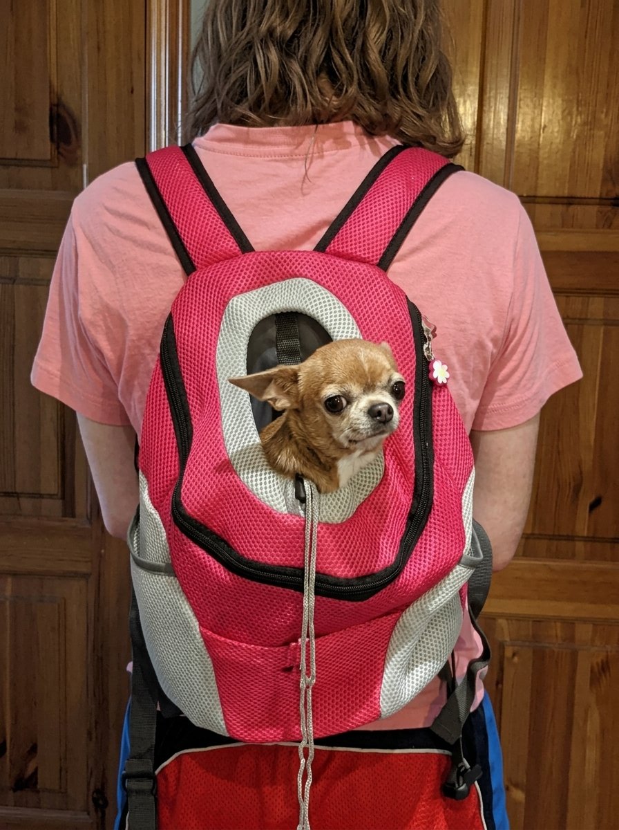 1755198656fucsia_7.png_202606241600