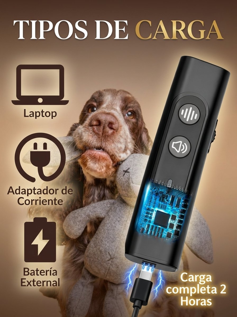 image.png_202606241814